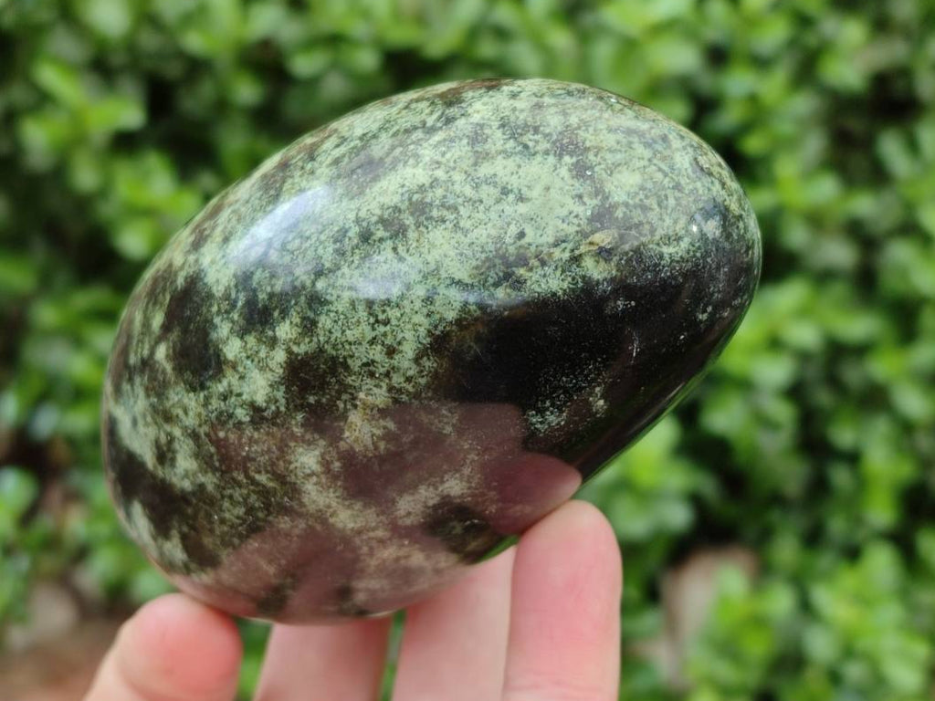 Polished Leopard Stone Free Forms x 6 From Zimbabwe - Toprock Gemstones and Minerals 