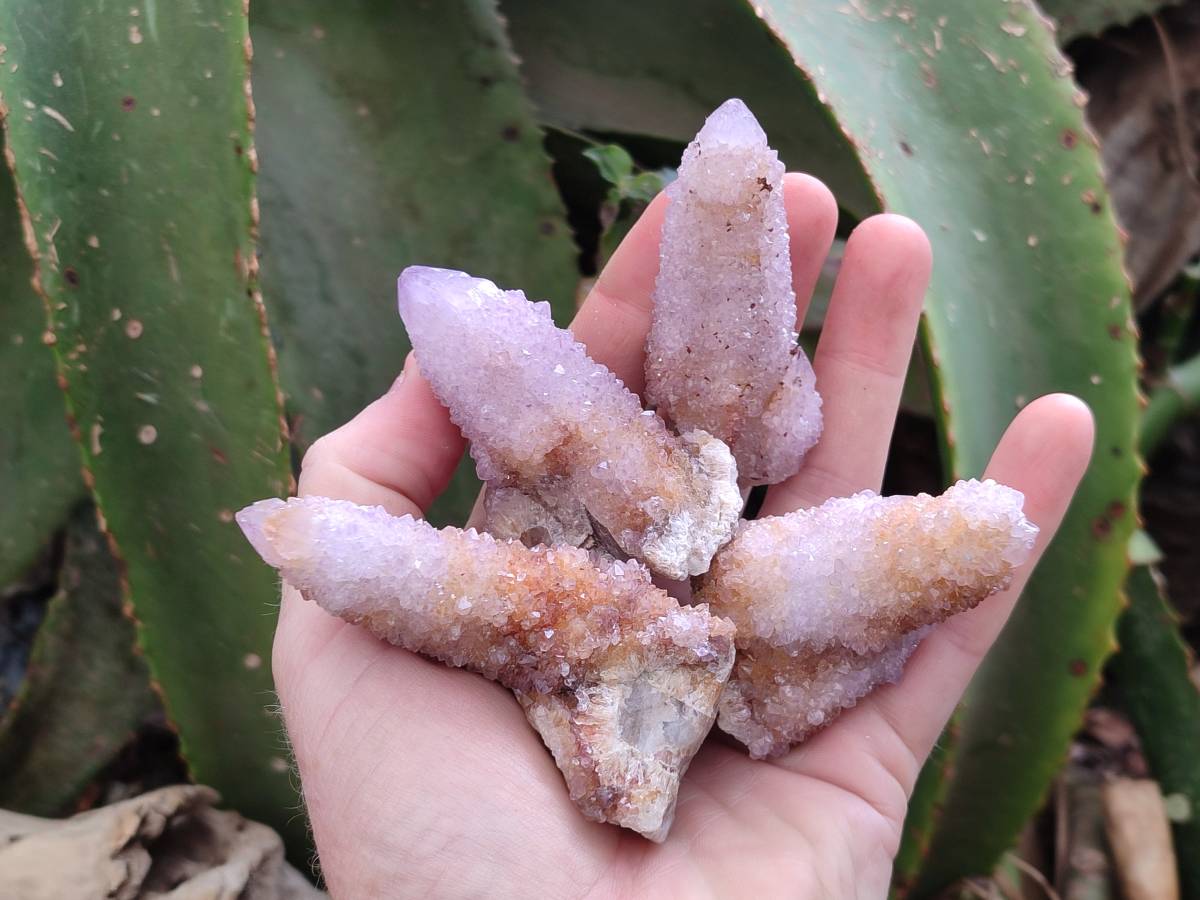 Natural Amethyst Spirit Quartz And Ametrine Clusters x 12 From Boekenhouthoek, South Africa - Toprock Gemstones and Minerals 