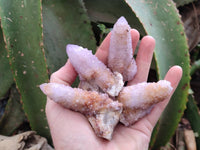 Natural Amethyst Spirit Quartz And Ametrine Clusters x 12 From Boekenhouthoek, South Africa
