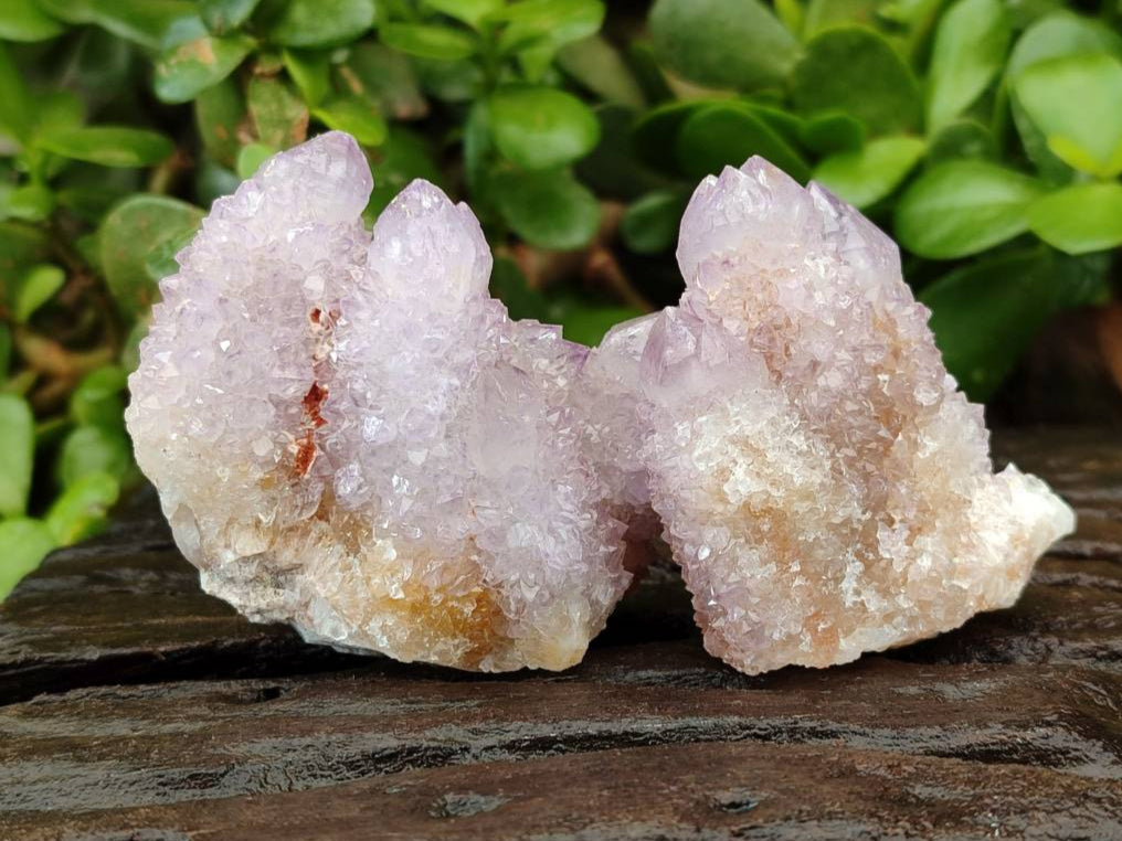 Natural Amethyst Spirit Quartz And Ametrine Clusters x 12 From Boekenhouthoek, South Africa - Toprock Gemstones and Minerals 