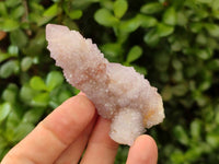 Natural Amethyst Spirit Quartz And Ametrine Clusters x 12 From Boekenhouthoek, South Africa
