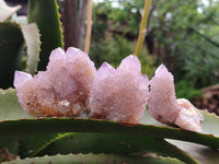 Natural Amethyst Spirit Quartz And Ametrine Clusters x 12 From Boekenhouthoek, South Africa