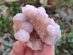 Natural Amethyst Spirit Quartz And Ametrine Clusters x 12 From Boekenhouthoek, South Africa - Toprock Gemstones and Minerals 