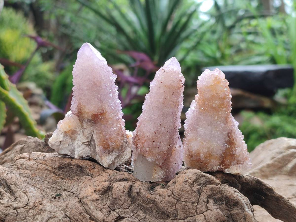 Natural Amethyst Spirit Quartz And Ametrine Clusters x 12 From Boekenhouthoek, South Africa - Toprock Gemstones and Minerals 