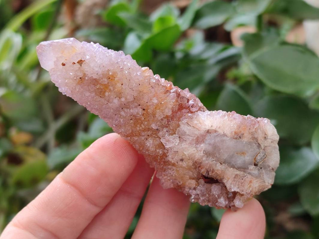Natural Amethyst Spirit Quartz And Ametrine Clusters x 12 From Boekenhouthoek, South Africa - Toprock Gemstones and Minerals 