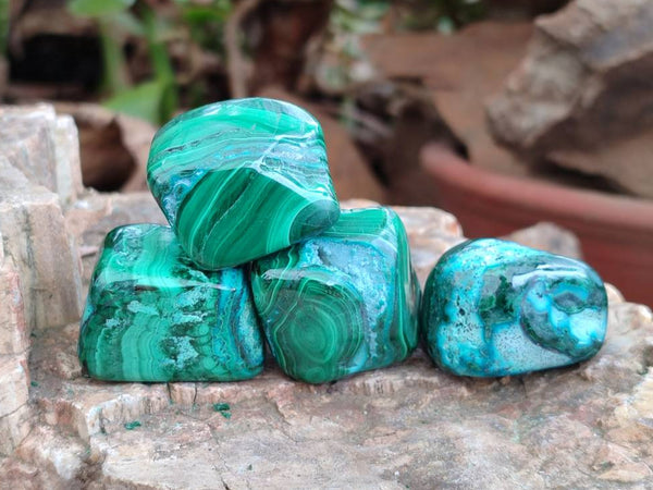 Polished Malacolla Free Forms x 35 From Kulukuluku, Congo