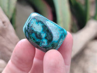 Polished Malacolla Free Forms x 35 From Kulukuluku, Congo