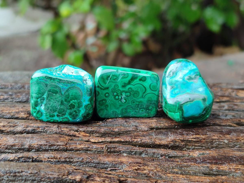 Polished Malacolla Free Forms x 35 From Kulukuluku, Congo - Toprock Gemstones and Minerals 