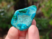 Polished Malacolla Free Forms x 35 From Kulukuluku, Congo