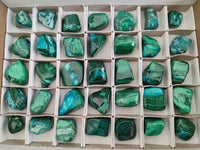 Polished Malacolla Free Forms x 35 From Kulukuluku, Congo