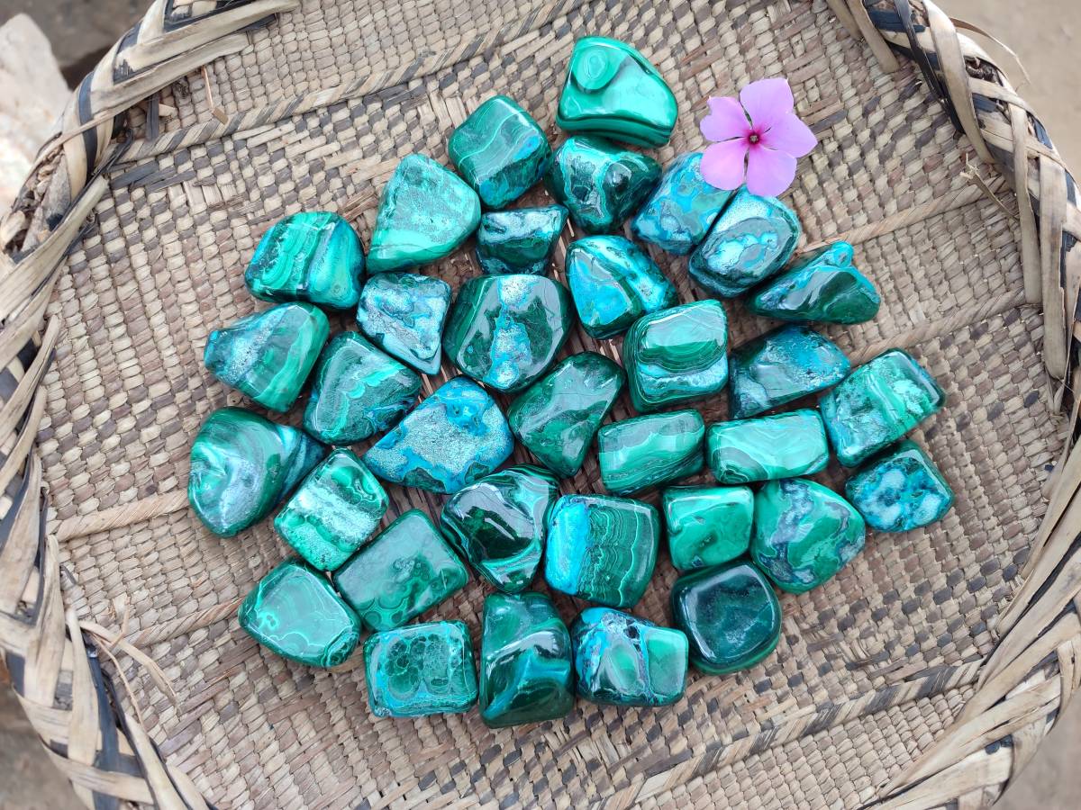 Polished Malacolla Free Forms x 35 From Kulukuluku, Congo - Toprock Gemstones and Minerals 