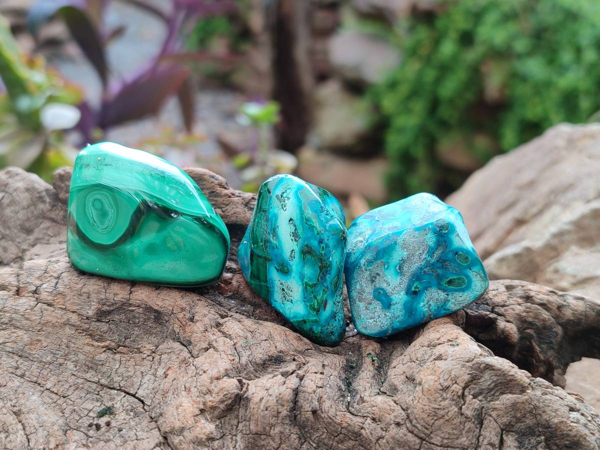 Polished Malacolla Free Forms x 35 From Kulukuluku, Congo - Toprock Gemstones and Minerals 