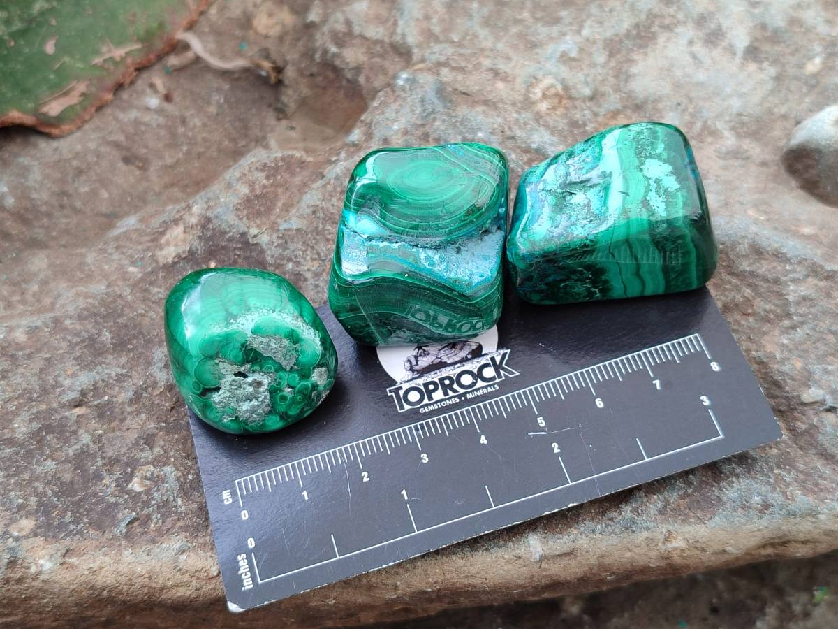 Polished Malacolla Free Forms x 35 From Kulukuluku, Congo - Toprock Gemstones and Minerals 