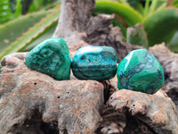 Polished Malacolla Free Forms x 35 From Kulukuluku, Congo