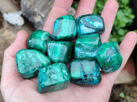 Polished Malacolla Free Forms x 35 From Kulukuluku, Congo