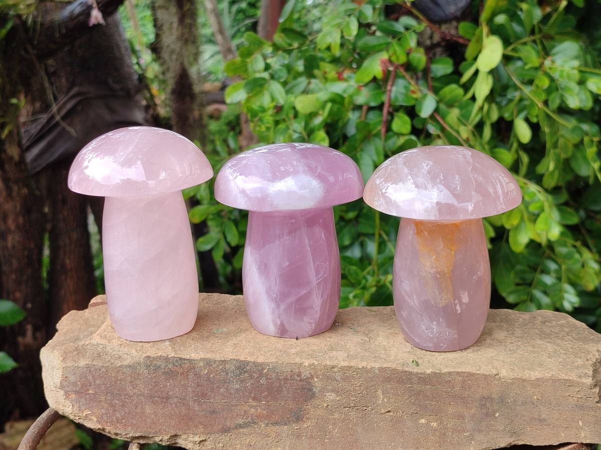 Polished Rose Quartz Mushrooms x 3 From Madagascar - Toprock Gemstones and Minerals 