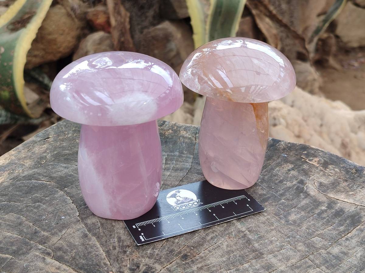 Polished Rose Quartz Mushrooms x 3 From Madagascar - Toprock Gemstones and Minerals 