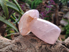Polished Rose Quartz Mushrooms x 3 From Madagascar - Toprock Gemstones and Minerals 