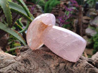 Polished Rose Quartz Mushrooms x 3 From Madagascar