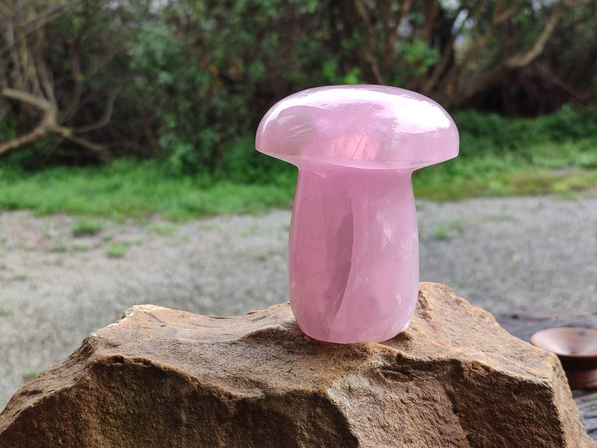 Polished Rose Quartz Mushrooms x 3 From Madagascar - Toprock Gemstones and Minerals 