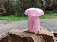 Polished Rose Quartz Mushrooms x 3 From Madagascar