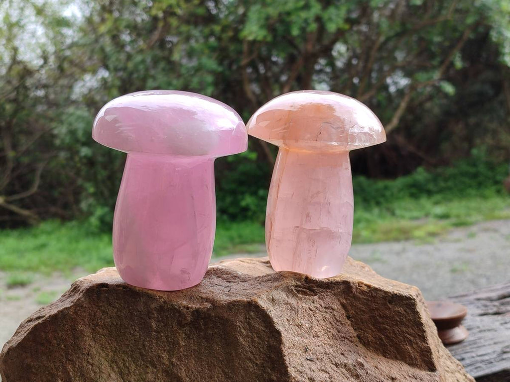 Polished Rose Quartz Mushrooms x 3 From Madagascar - Toprock Gemstones and Minerals 