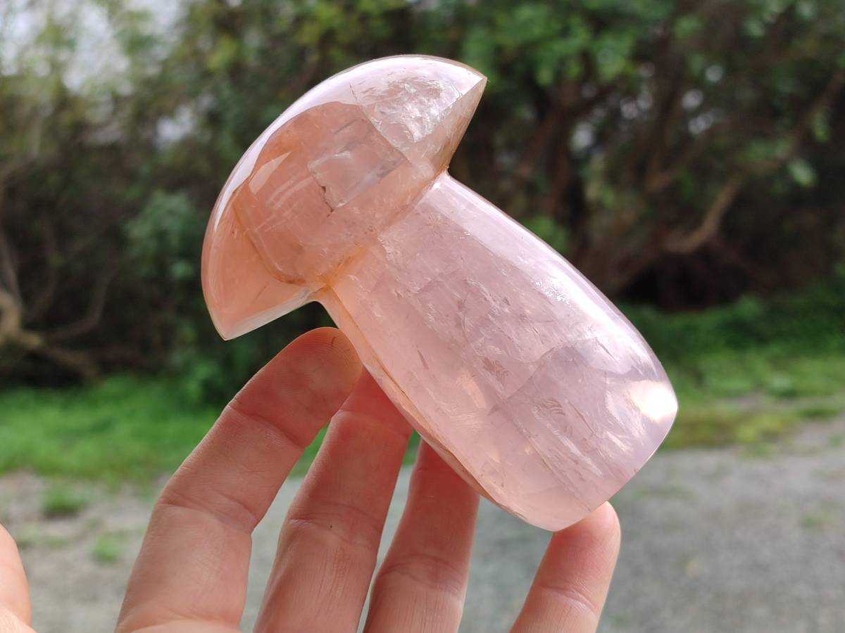 Polished Rose Quartz Mushrooms x 3 From Madagascar - Toprock Gemstones and Minerals 