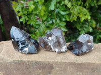 Natural Smokey Quartz Crystals x 6 From Mulanje, Malawi