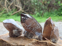 Natural Smokey Quartz Crystals x 6 From Mulanje, Malawi