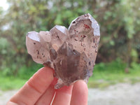 Natural Smokey Quartz Crystals x 6 From Mulanje, Malawi