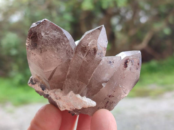 Natural Smokey Quartz Crystals x 6 From Mulanje, Malawi