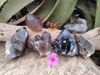 Natural Smokey Quartz Crystals x 6 From Mulanje, Malawi