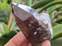 Natural Smokey Quartz Crystals x 6 From Mulanje, Malawi