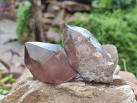 Natural Smokey Quartz Crystals x 6 From Mulanje, Malawi