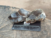 Natural Smokey Quartz Crystals x 6 From Mulanje, Malawi
