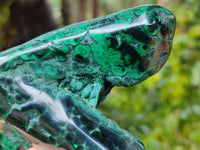 Polished Flower Banded Malachite Free Forms x 3 From Congo