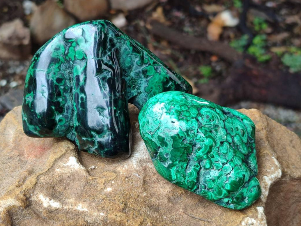 Polished Flower Banded Malachite Free Forms x 3 From Congo - Toprock Gemstones and Minerals 