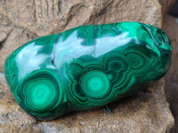 Polished Flower Banded Malachite Free Forms x 3 From Congo