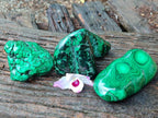 Polished Flower Banded Malachite Free Forms x 3 From Congo - Toprock Gemstones and Minerals 