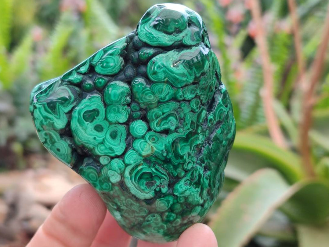 Polished Flower Banded Malachite Free Forms x 3 From Congo - Toprock Gemstones and Minerals 