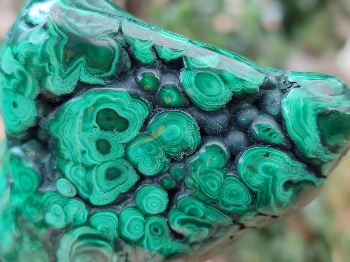 Polished Flower Banded Malachite Free Forms x 3 From Congo - Toprock Gemstones and Minerals 