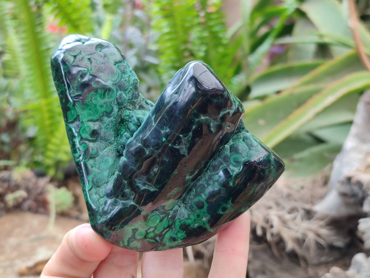 Polished Flower Banded Malachite Free Forms x 3 From Congo - Toprock Gemstones and Minerals 