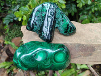 Polished Flower Banded Malachite Free Forms x 3 From Congo