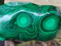 Polished Flower Banded Malachite Free Forms x 3 From Congo