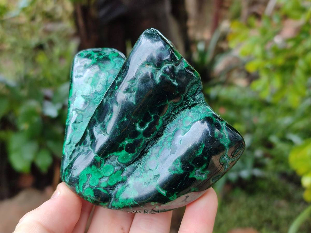 Polished Flower Banded Malachite Free Forms x 3 From Congo - Toprock Gemstones and Minerals 