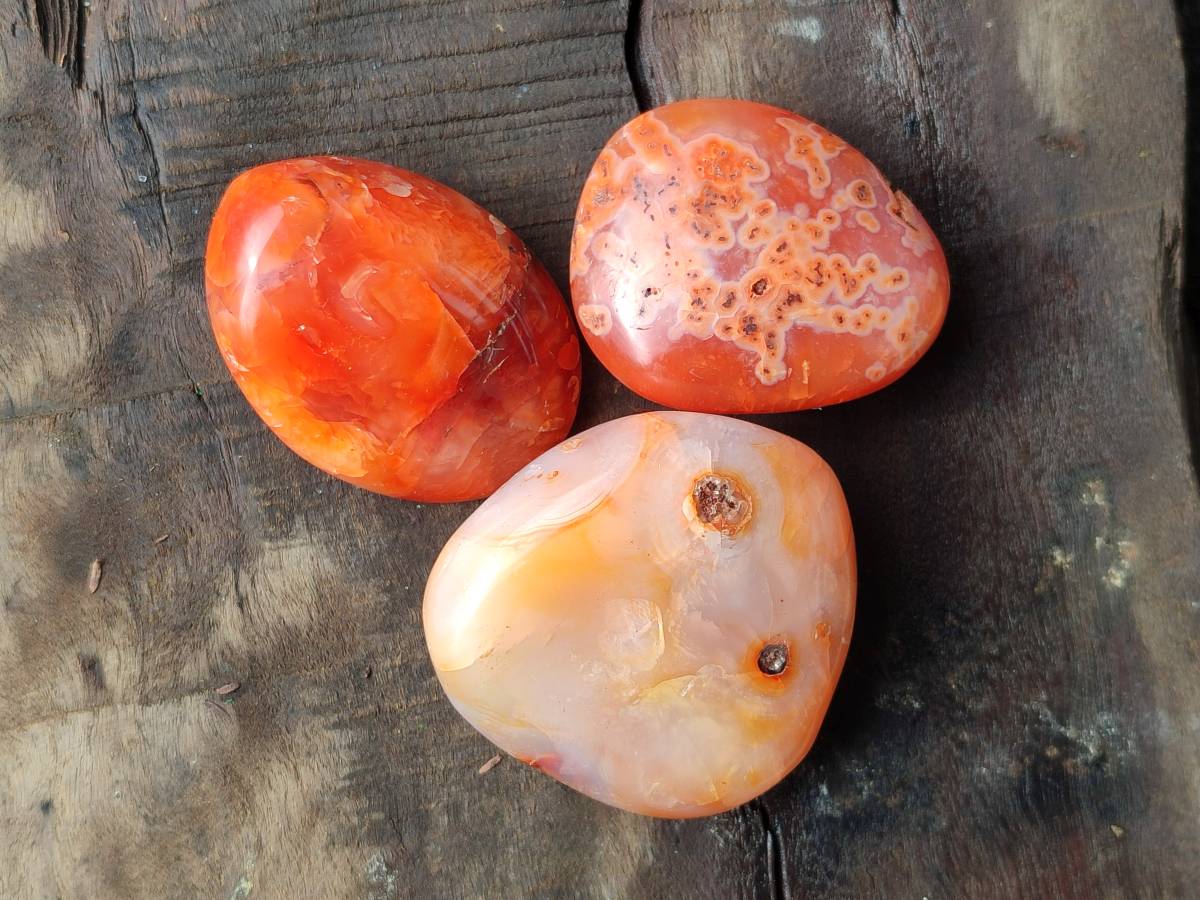 Polished Carnelian Agate Gemstone Galets x 20 From Madagascar - Toprock Gemstones and Minerals 