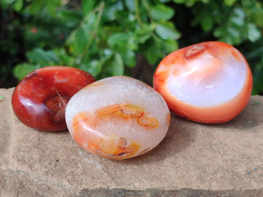 Polished Carnelian Agate Gemstone Galets x 20 From Madagascar - Toprock Gemstones and Minerals 