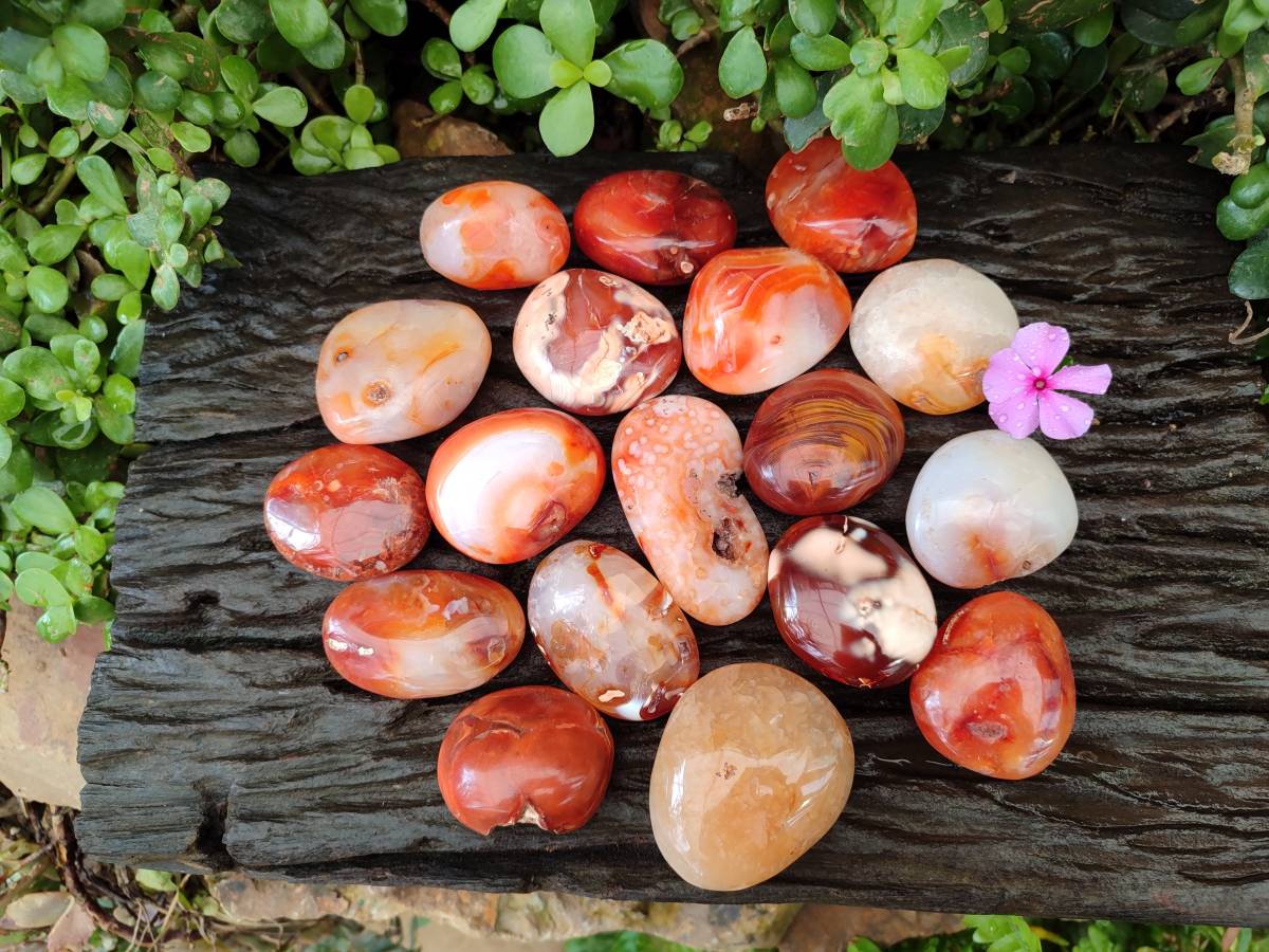 Polished Carnelian Agate Gemstone Galets x 20 From Madagascar - Toprock Gemstones and Minerals 