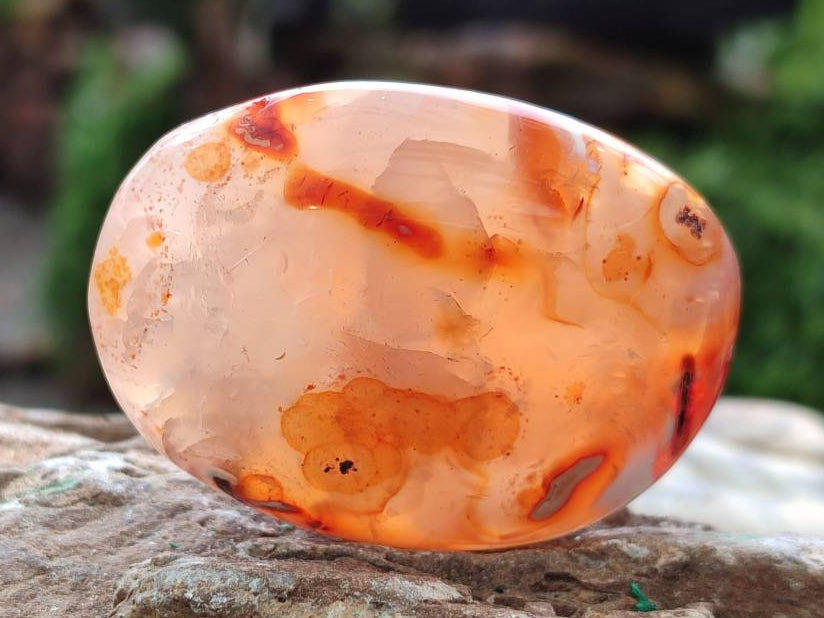 Polished Carnelian Agate Gemstone Galets x 20 From Madagascar - Toprock Gemstones and Minerals 