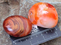 Polished Carnelian Agate Gemstone Galets x 20 From Madagascar - Toprock Gemstones and Minerals 